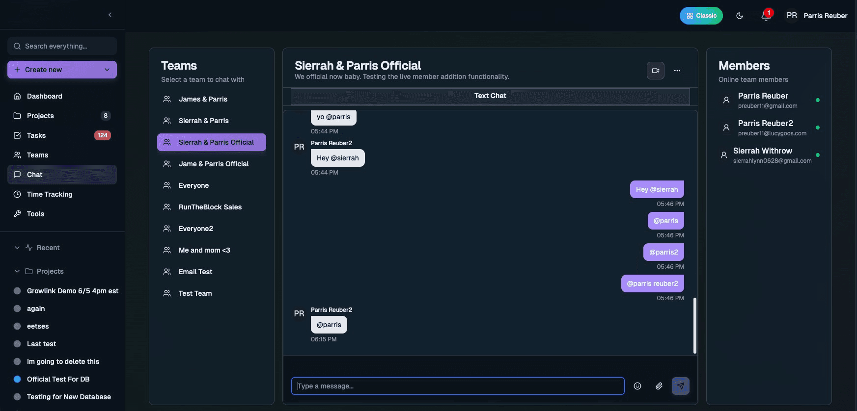 Enterprise Team Management Platform screenshot 4